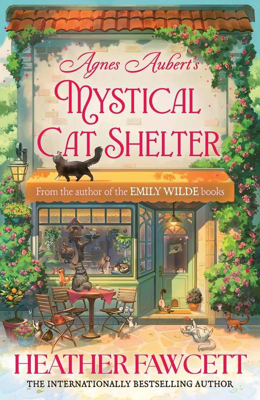 Agnes Aubert’s Mystical Cat Shelter - by Heather Fawcett - Paperback Book | BookClub