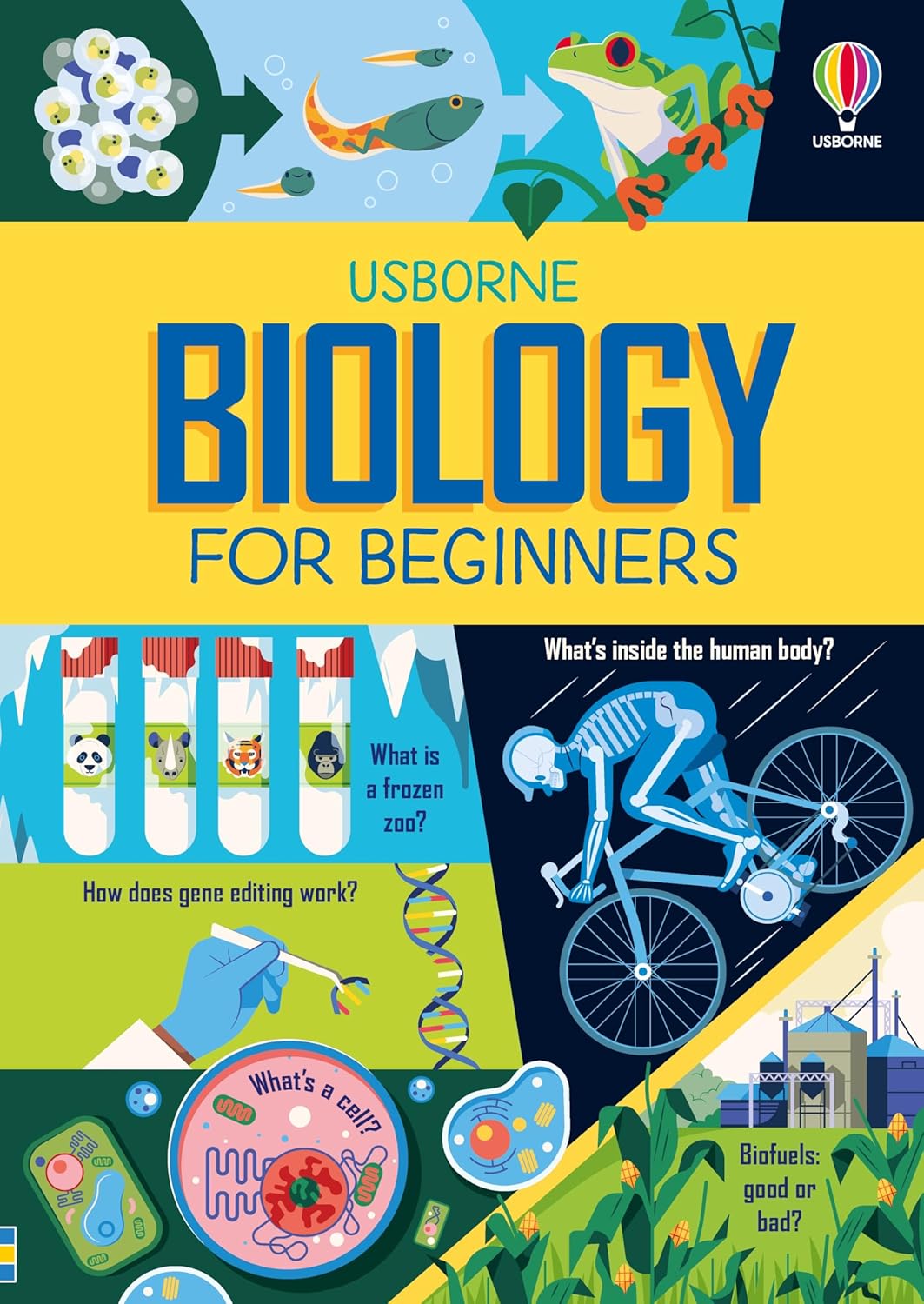 Usborne Biology for Beginners - by Lizzie Cope - Hardback Book | BookClub