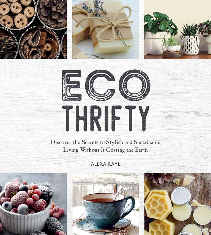 Eco Thrifty - by Alexa Kaye - Hardback Book | BookClub