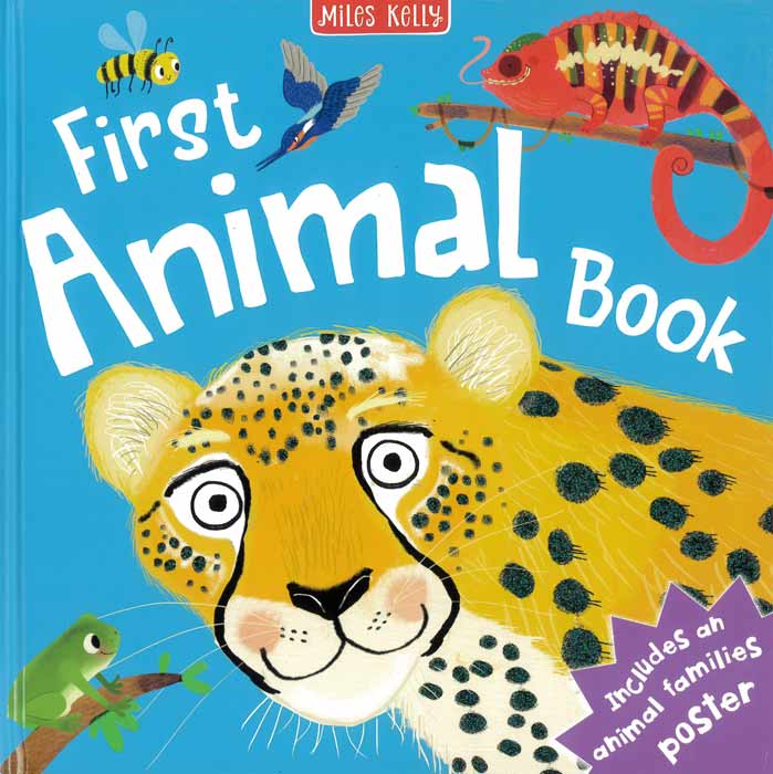 First Animal Book - by Barbara Taylor - Hardback Book | BookClub