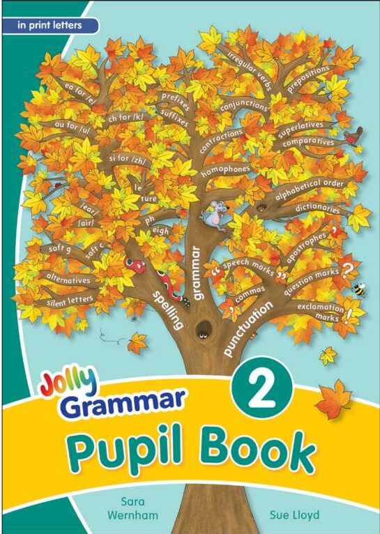 Jolly Grammar Pupil Book 2 - by Sara Wernham - Paperback Book | BookClub