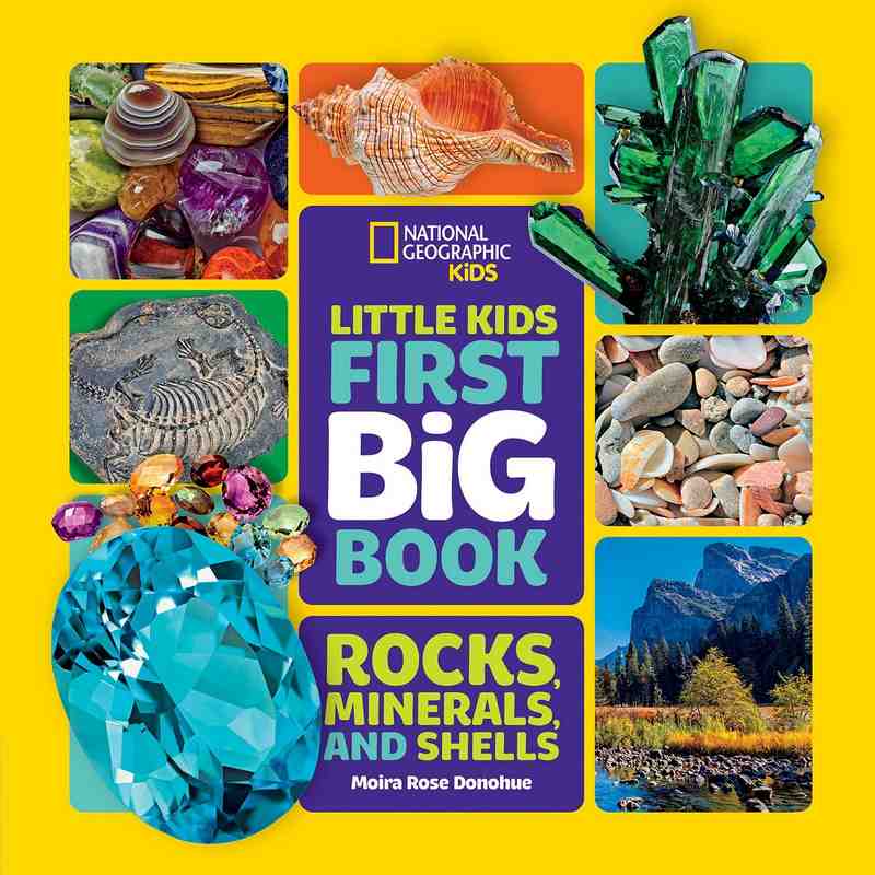 Little Kids First Big Book of Rocks, Minerals and Shells - by Moira Rose Donohue - Hardback Book | BookClub