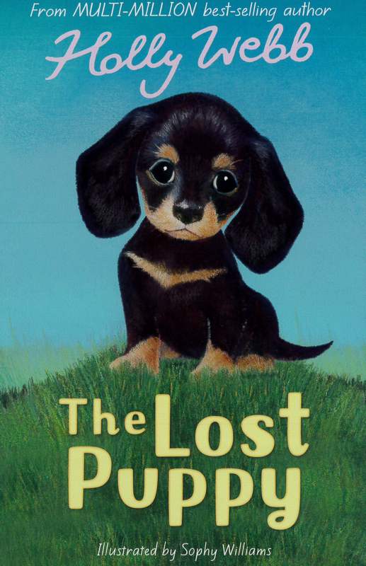 The Lost Puppy - by Holly Webb - Paperback Book | BookClub