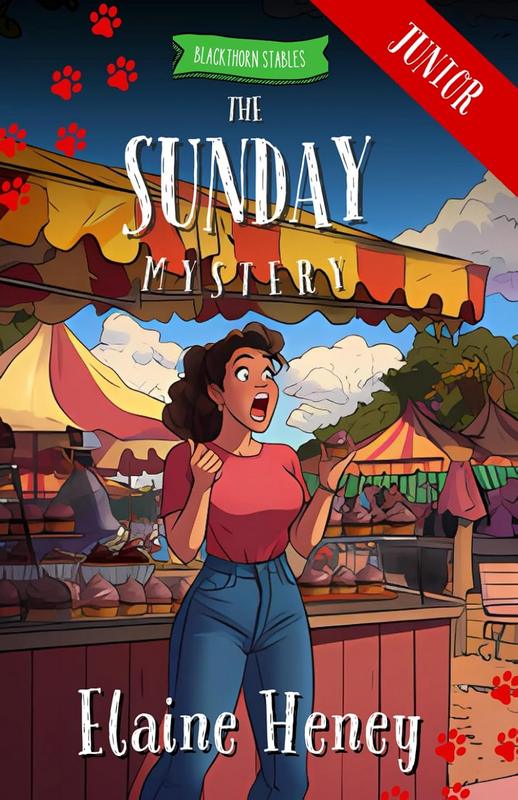 The Sunday Mystery - by Elaine Heney - Paperback Book | BookClub