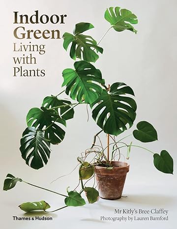Indoor Green Living with Plants - by Mr. Kitly's Bree Claffey - Paperback Book | BookClub