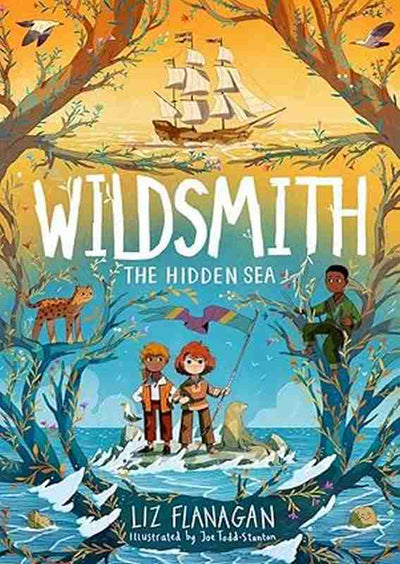 The Hidden Sea (Wildsmith)
