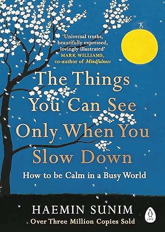 The Things You Can See Only When You Slow Down - by Haemin Sunim - Paperback Book | BookClub