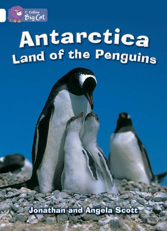 Antartica Land of Penguins - by Angela Scott - Paperback Book | BookClub