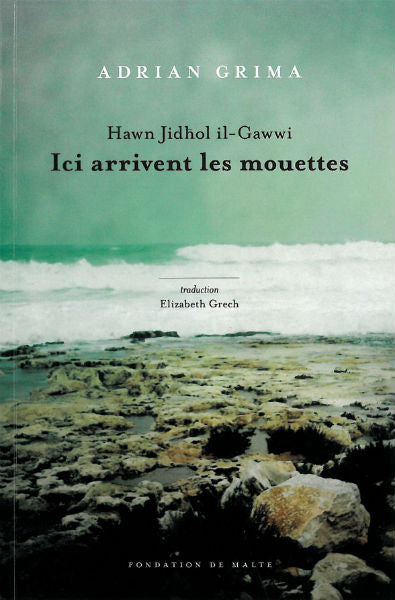 Hawn Jidhol il-Gawwi - Paperback Book | BookClub