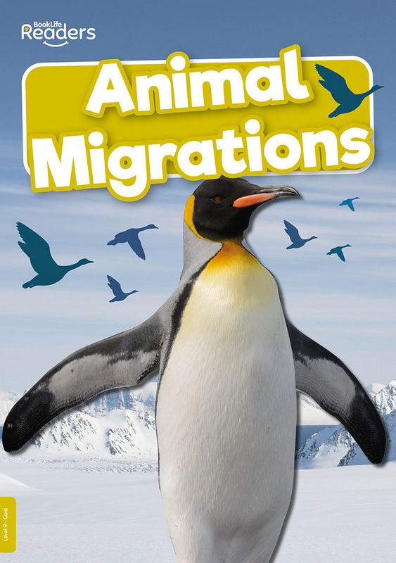 BookLife Readers Level 9: Animal Migrations - by Harriet Brundle - Paperback Book | BookClub
