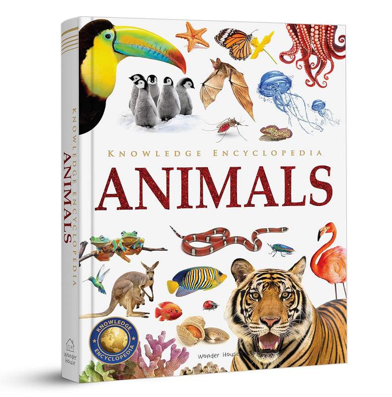 Knowledge Encyclopedia: Animals - Hardback Book | BookClub