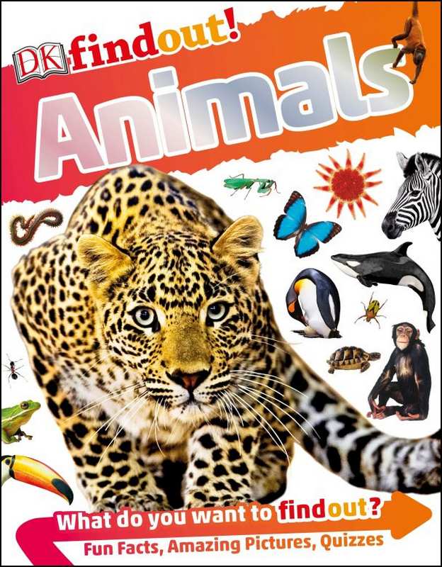 Animals - by Andrea Mills - Paperback Book | BookClub