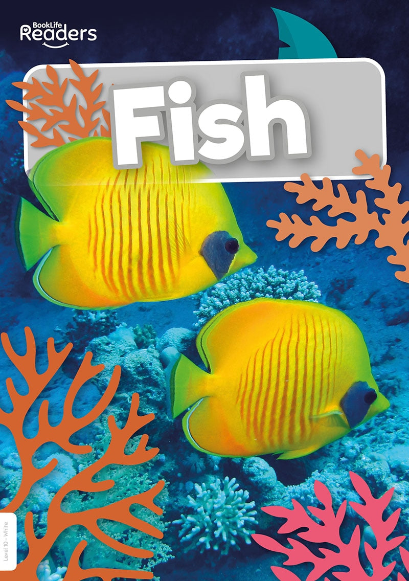 BookLife Readers Level 10: Fish - by Steffi Cavell-Clarke - Paperback Book | BookClub
