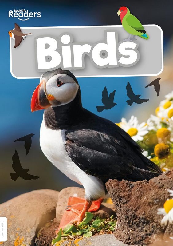Birds (BookLife Non-Fiction Readers) - by William Anthony - Paperback Book | BookClub
