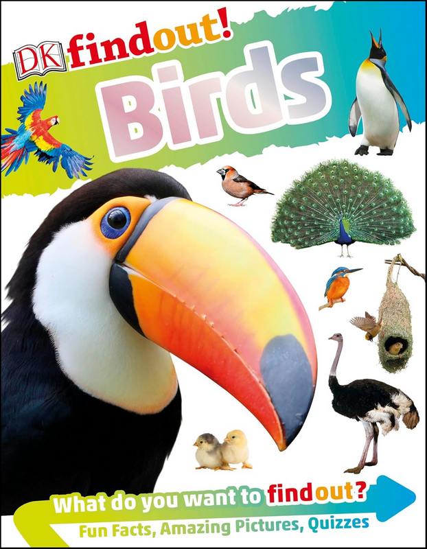 Birds - by Ben Hoare - Paperback Book | BookClub