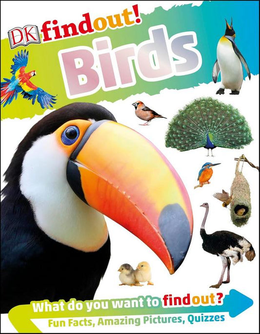 Birds - by Ben Hoare - Paperback Book | BookClub