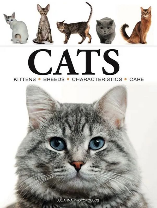 Cats - by Julianna Photopoulos - Hardback Book | BookClub
