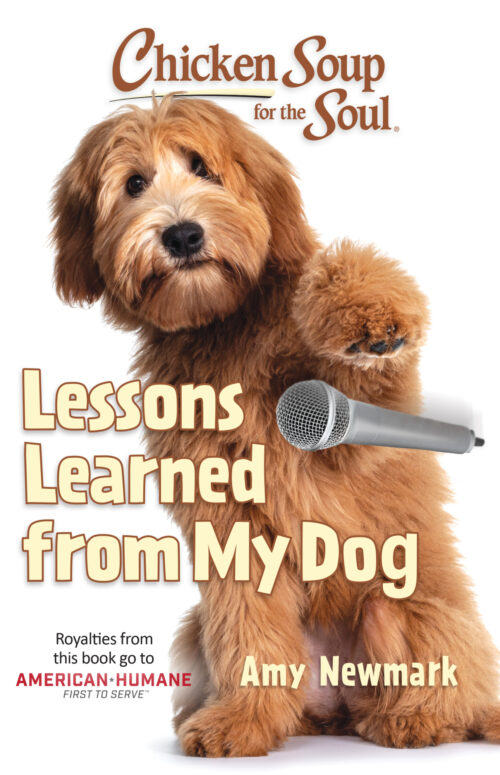 Chicken Soup for the Soul: Lessons Learned from My Dog - by Amy Newmark - Paperback Book | BookClub