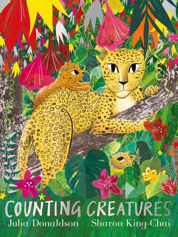 Counting Creatures - by Julia Donaldson - Paperback Book | BookClub