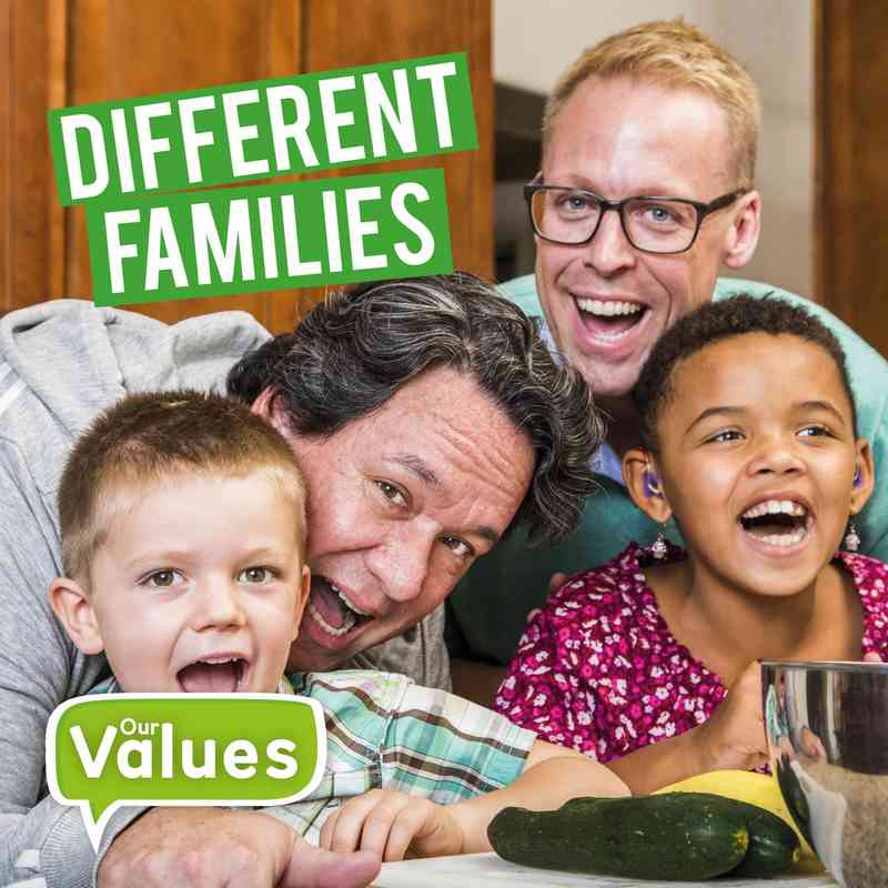 Our Values: Different Families - by Steffi Cavell-Clarke - Hardback Book | BookClub