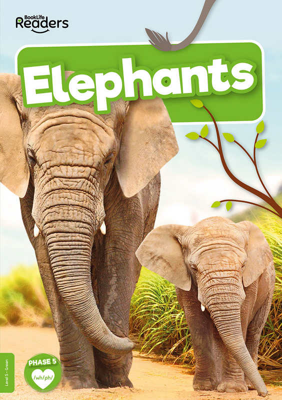 BookLife Readers Level 5: Elephants - by Charis Mather - Paperback Book | BookClub