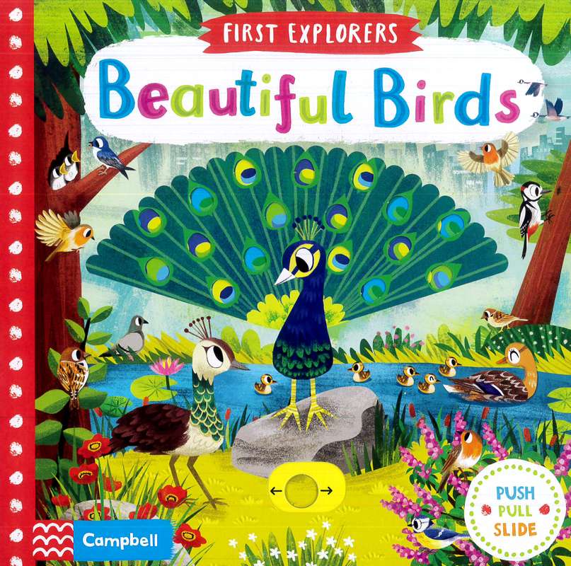 First Explorers: Beautiful Birds - by Chorkung (artist) - Hardback Book | BookClub