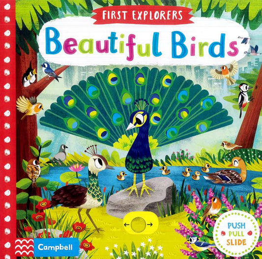 First Explorers: Beautiful Birds - by Chorkung (artist) - Hardback Book | BookClub