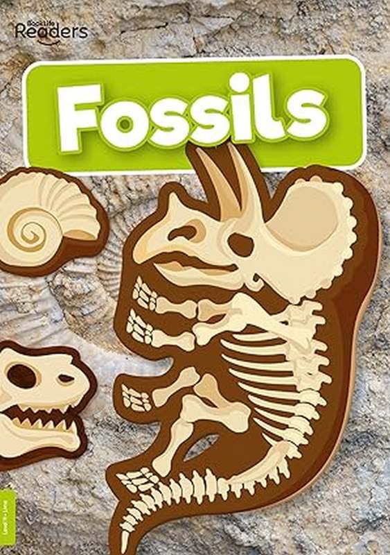BookLife Readers Level 11: Fossils - by Kirsty Holmes - Paperback Book | BookClub