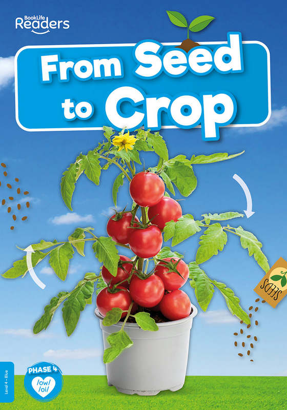 BookLife Readers Level 4: From Seed to Crop - by Shalini Vallepur - Paperback Book | BookClub