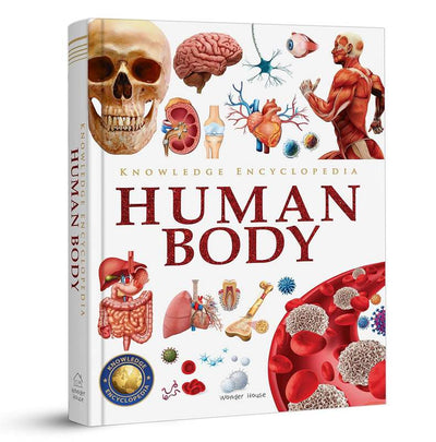 Knowledge Encyclopedia: Human Body