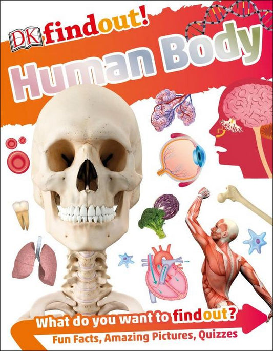 Human Body - by Dr.Bipasha Choudhury - Paperback Book | BookClub