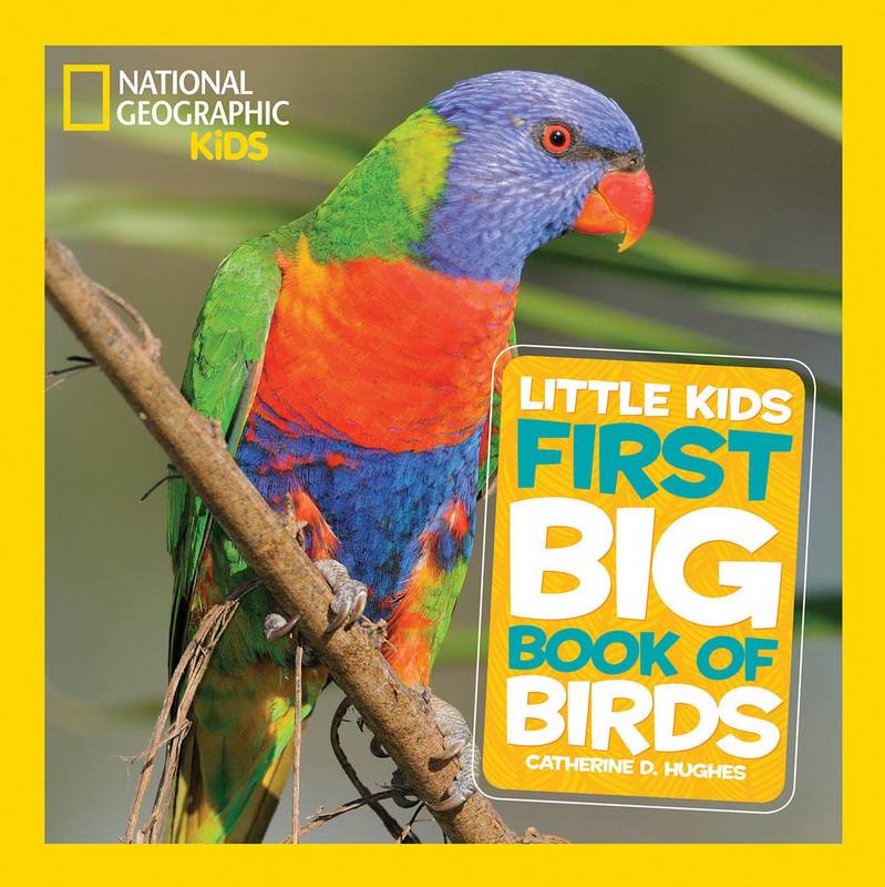 Little Kids First Big Book of Birds - by Catherine D. Hughes - Hardback Book | BookClub
