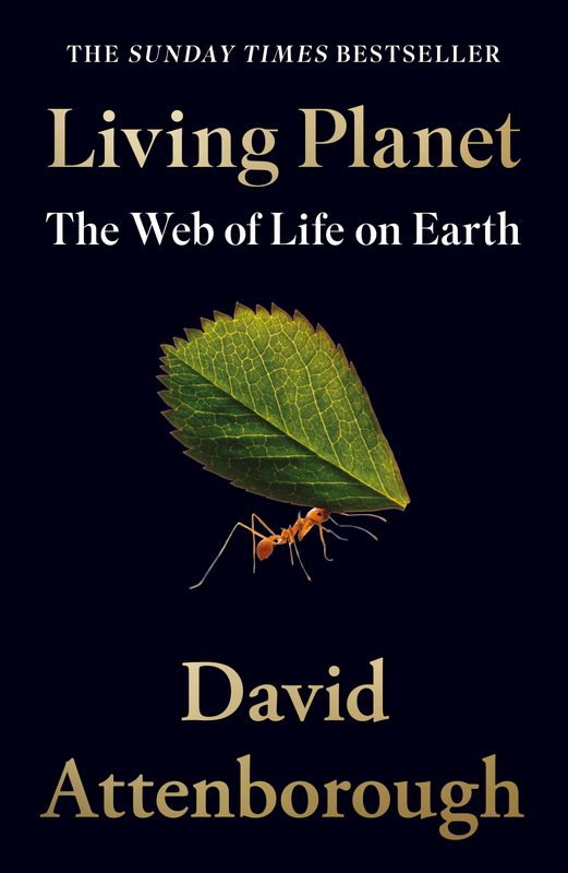 Living Planet: The Web of Life on Earth - by David Attenborough - Paperback Book | BookClub