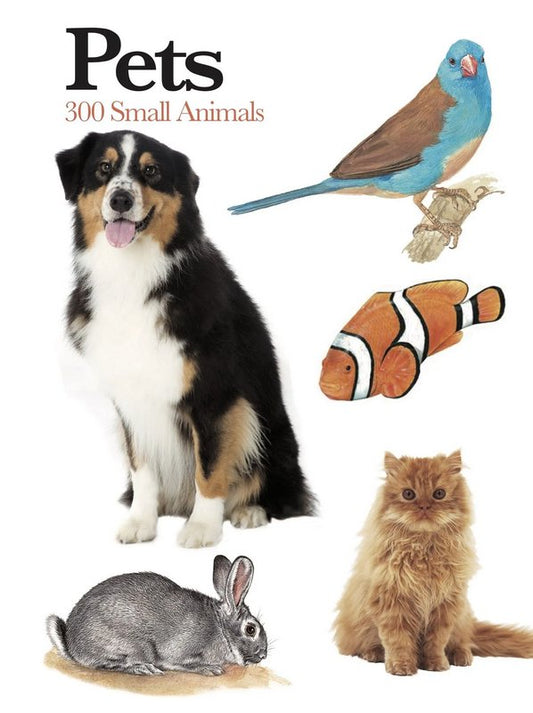 Pets - by Claudia Martin - Hardback Book | BookClub