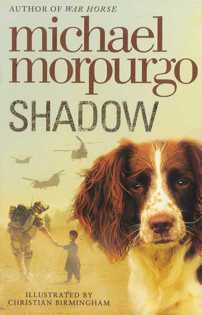 Shadow