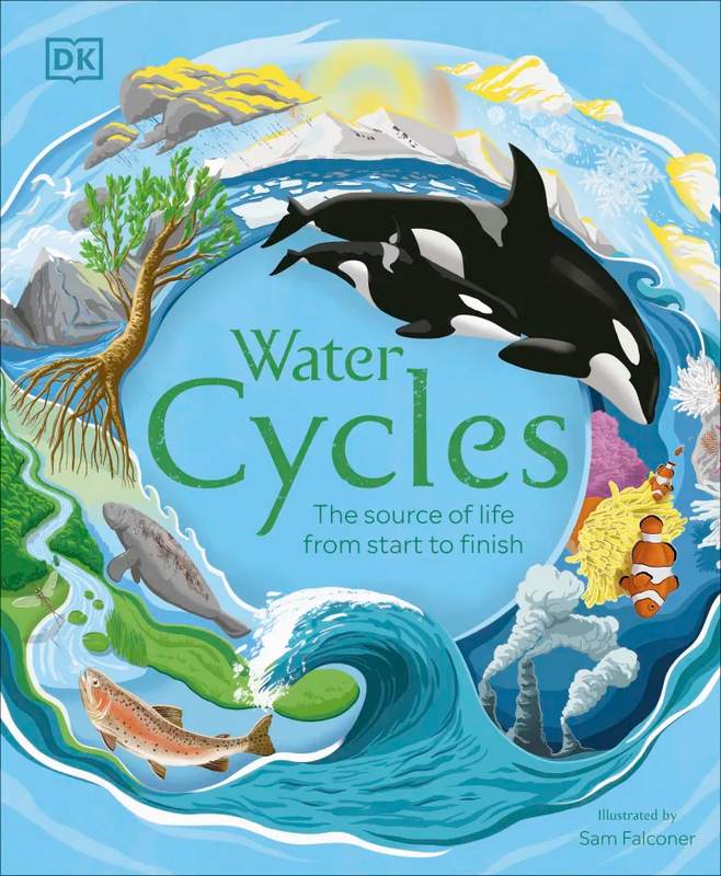 Water Cycles - by Steve Setford (author), - Hardback Book | BookClub
