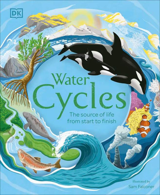 Water Cycles - by Steve Setford (author), - Hardback Book | BookClub