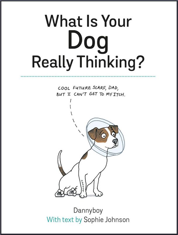 What is Your Dog Really Thinking? - by Dannyboy - Hardback Book | BookClub
