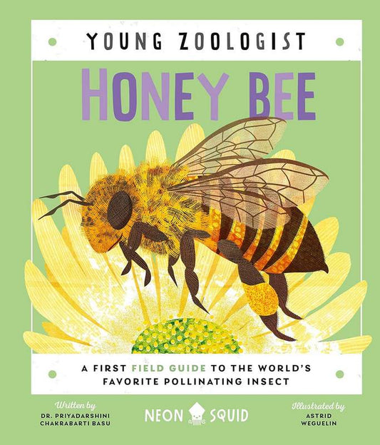 Young Zoologist: Honey Bee - by Dr. Priyadarshini Chakrabarti Basu - Hardback Book | BookClub