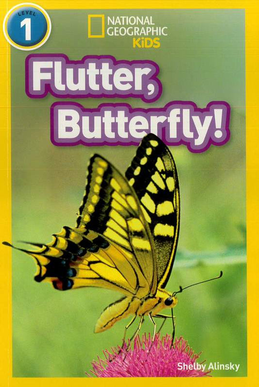 Flutter, Butterfly! - by Shelby Alinsky - Paperback Book | BookClub