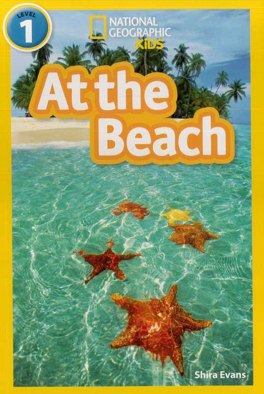 At the Beach - by Shira Evans - Paperback Book | BookClub