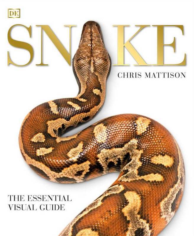 Snake - by Chris Mattison - Paperback Book | BookClub